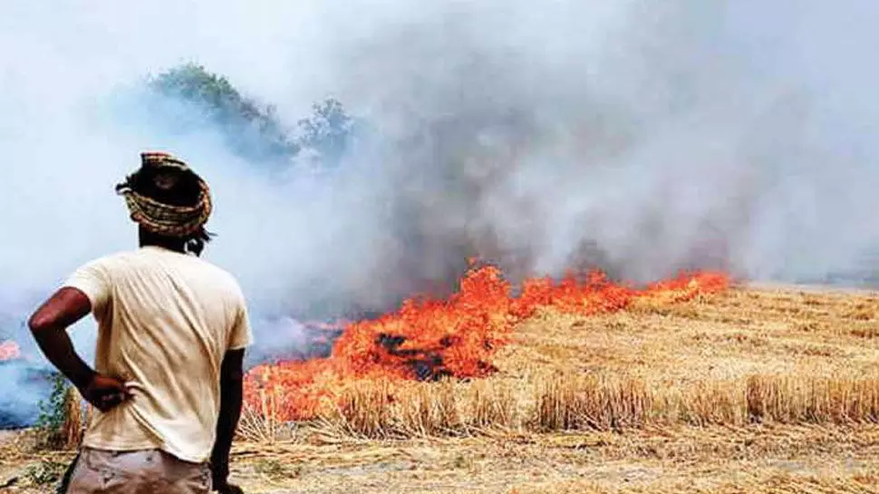 जागरूकता और कार्रवाई के जरिए पराली जलाने की घटनाओं में कमी